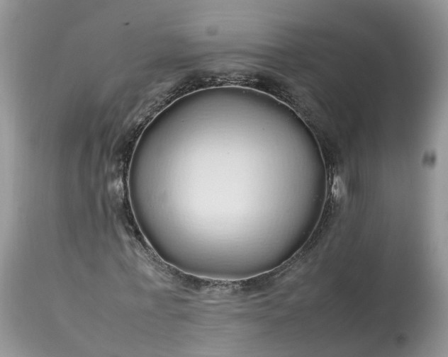 X0000113070771200909110939