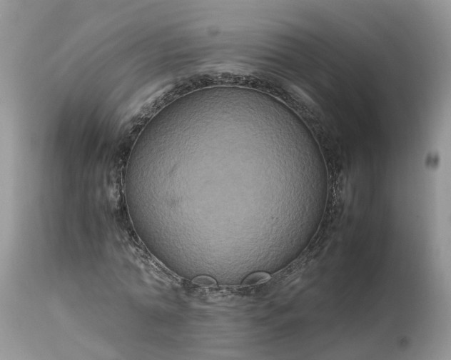 X0000113070774200909110939