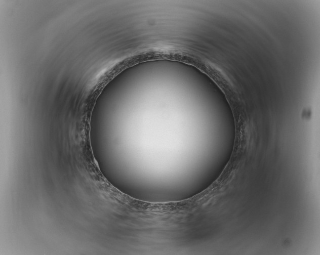 X0000113070776200909110939