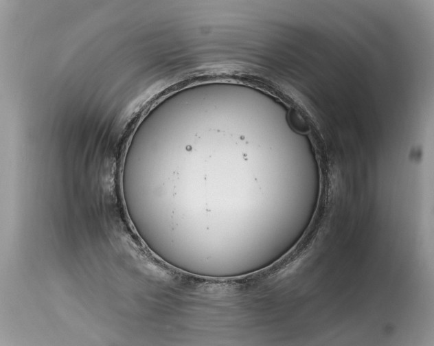 X0000113070778200909110939