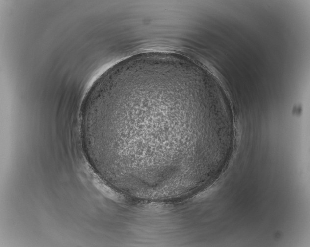 X0000113070779200909110939