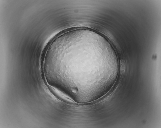 X0000113070780200909110939