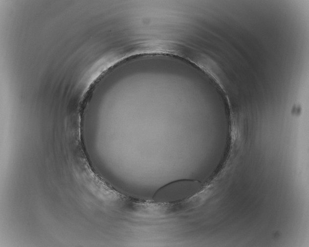 X0000113070781200909110939