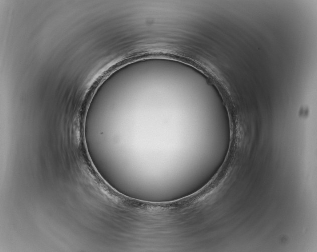 X0000113070782200909110939