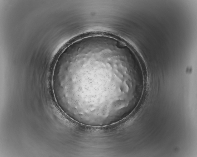 X0000113070783200909110939