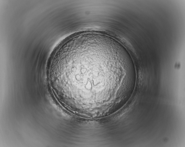 X0000113070784200909110939