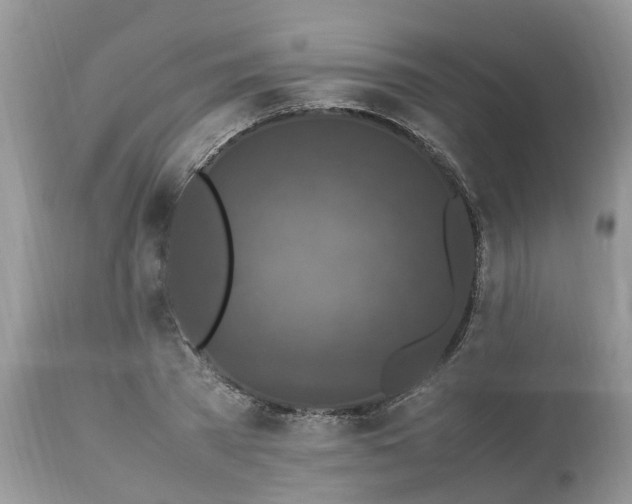 X0000113070785200909110939