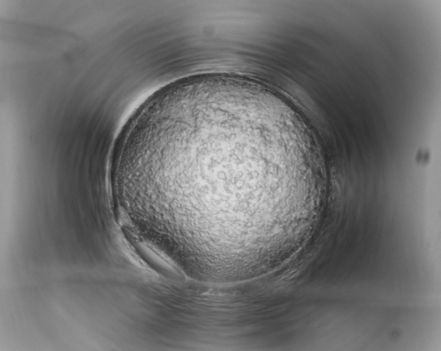 X0000113070788200909110939