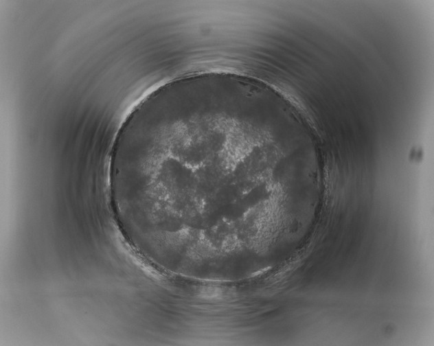 X0000113070790200909110939