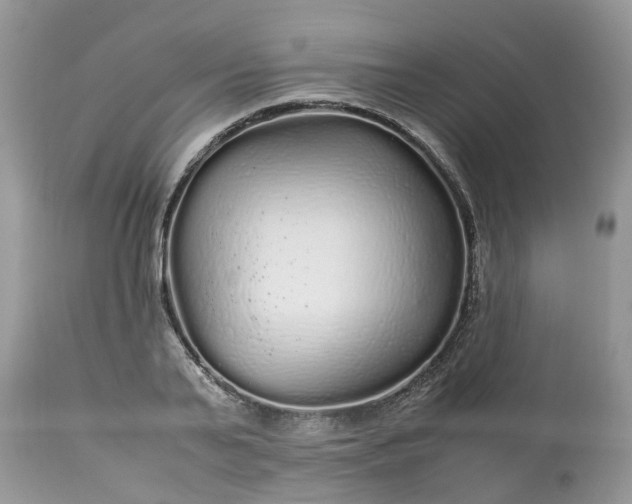 X0000113070791200909110939