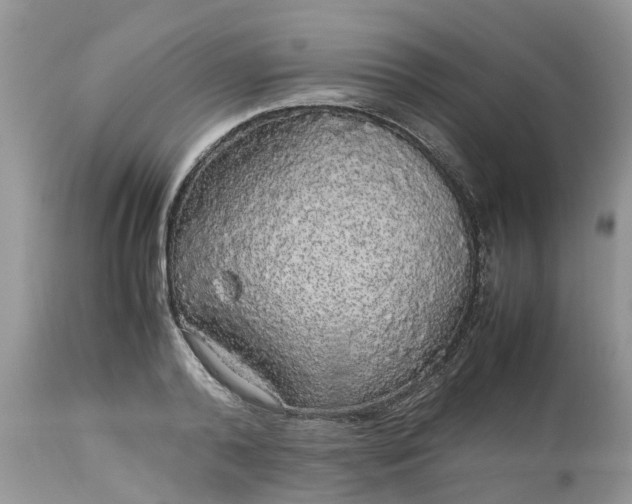 X0000113070792200909110939