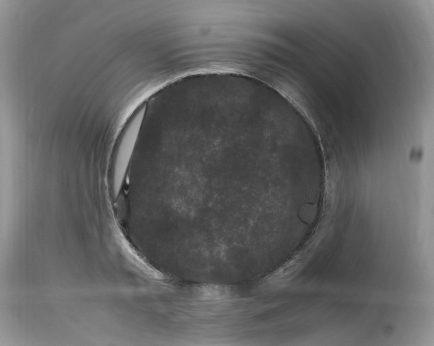 X0000113070797200909110939