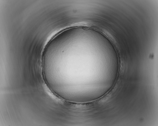 X0000113070800200909110939