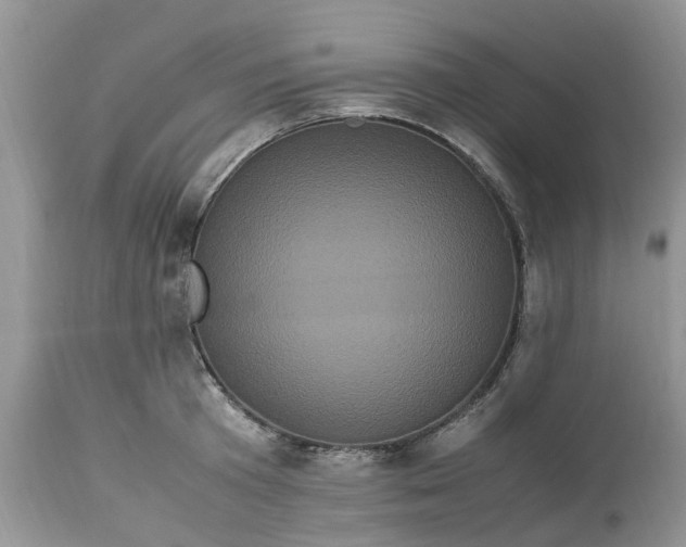 X0000113070801200909110939