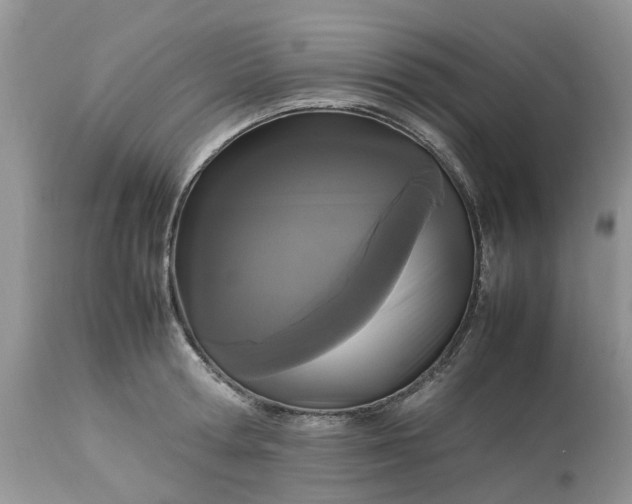 X0000113070802200909110939