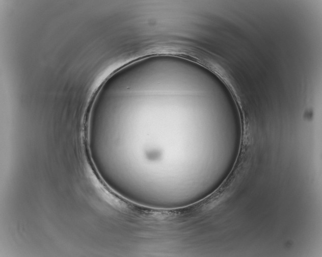 X0000113070803200909110939