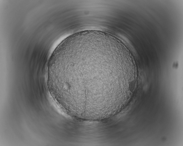 X0000113070804200909110939