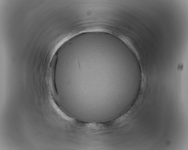 X0000113070805200909110939