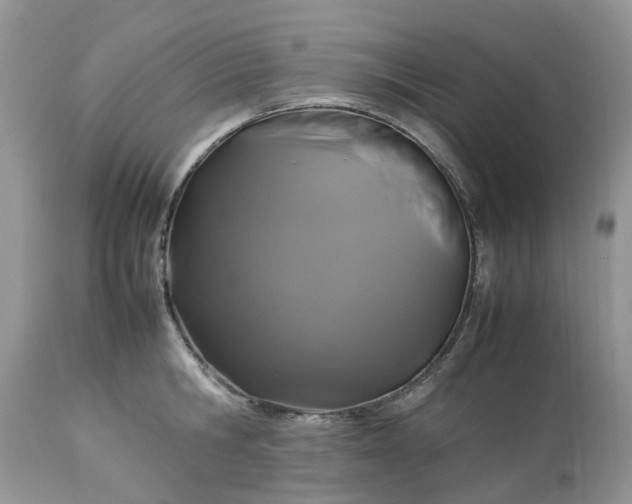 X0000113070806200909110939