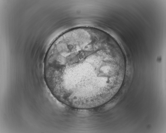 X0000113070807200909110939