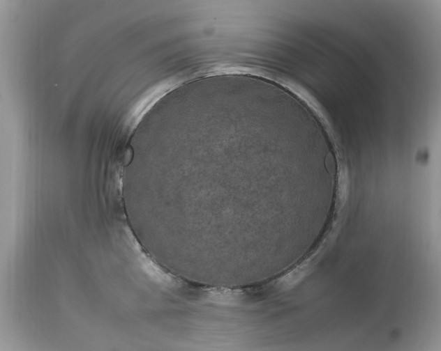 X0000113070809200909110939