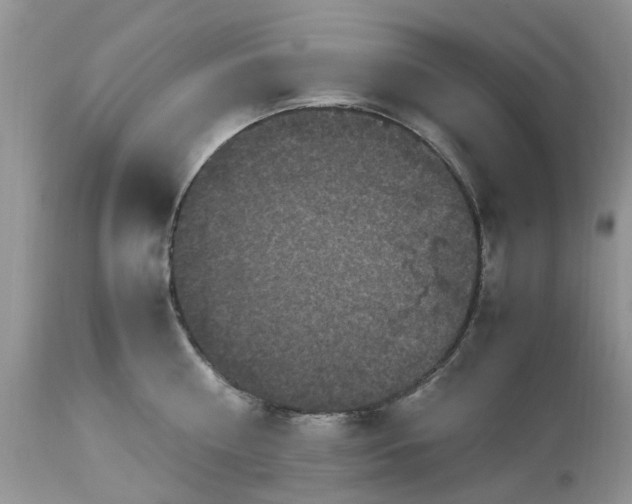 X0000113070810200909110939