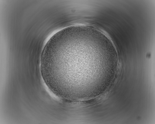 X0000113070811200909110939