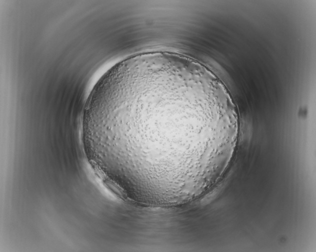 X0000113070812200909110939