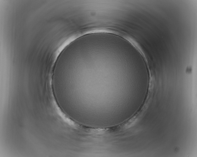 X0000113070813200909110939