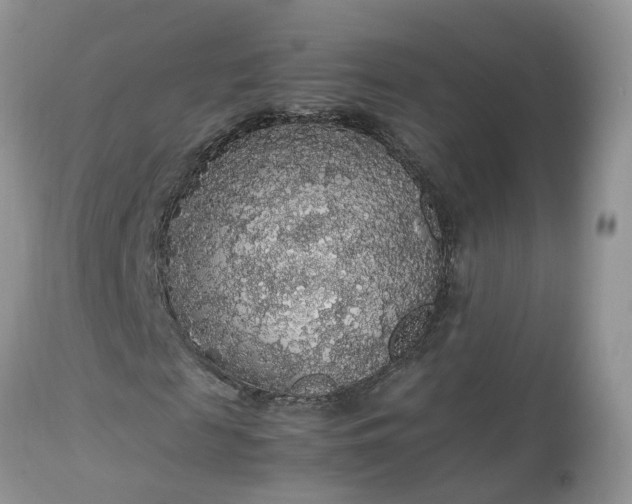 X0000113070817200909110938