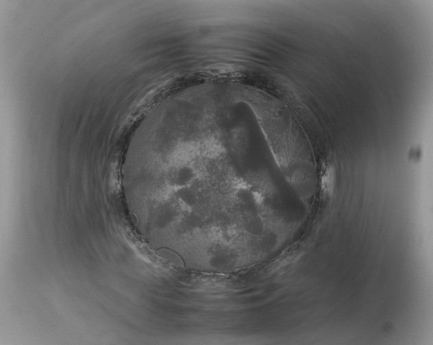 X0000113070819200909110938