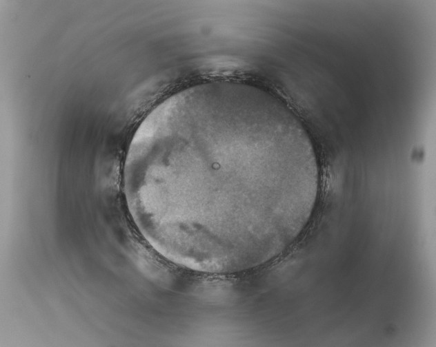 X0000113070820200909110938