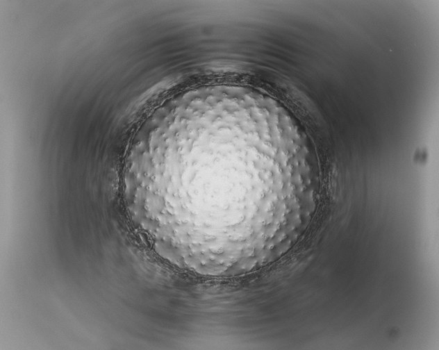 X0000113070821200909110938