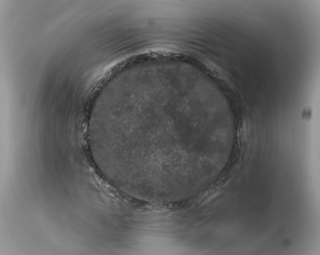 X0000113070822200909110938