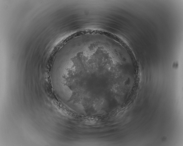 X0000113070823200909110938