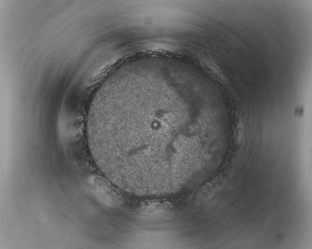 X0000113070824200909110938