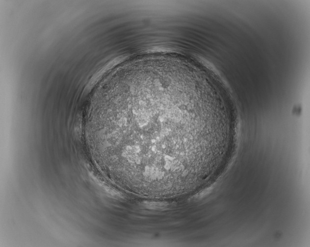 X0000113070825200909110938