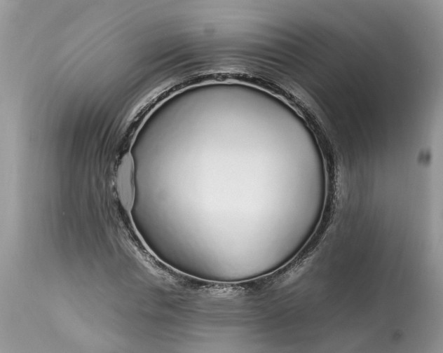 X0000113070826200909110938