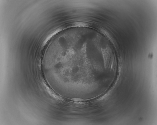 X0000113070827200909110938