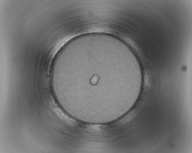 X0000113070828200909110938