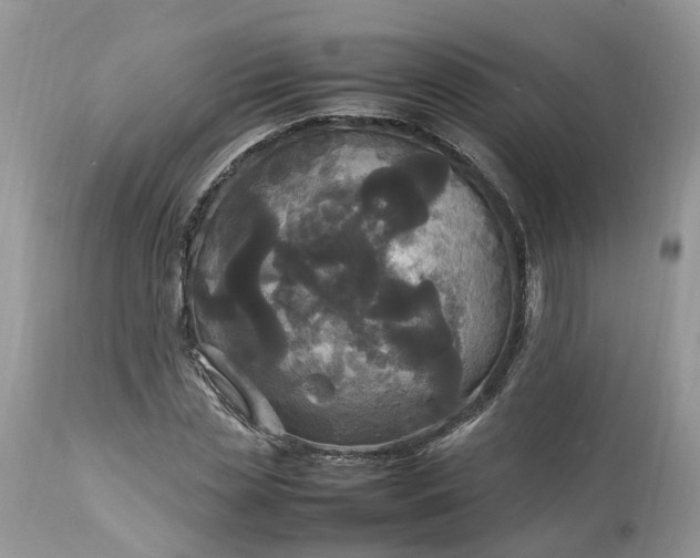 X0000113070829200909110938