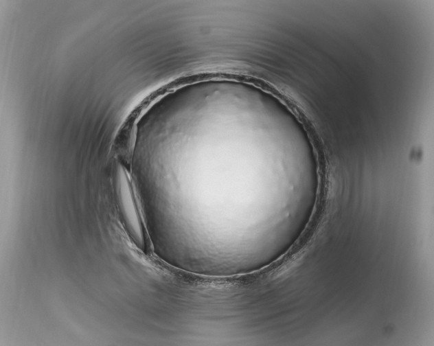 X0000113070830200909110938