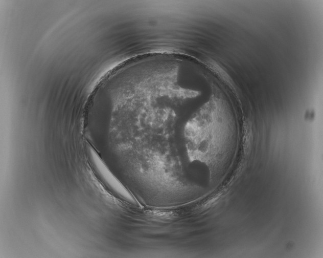 X0000113070831200909110938