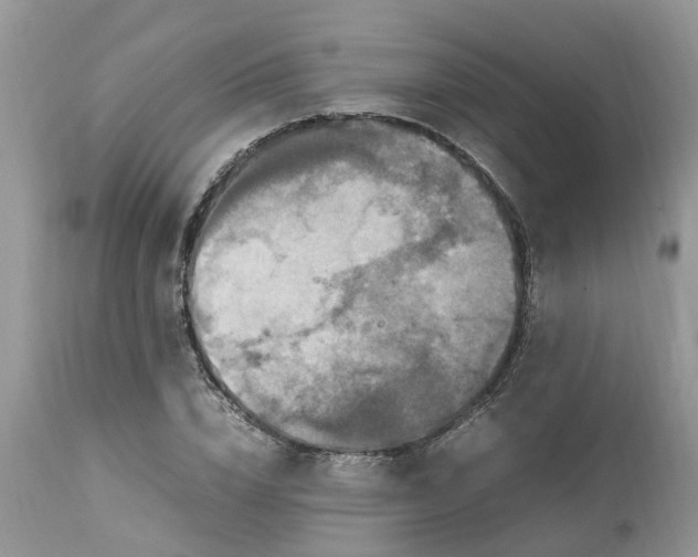 X0000113070832200909110938