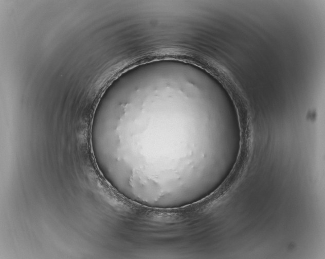 X0000113070833200909110938