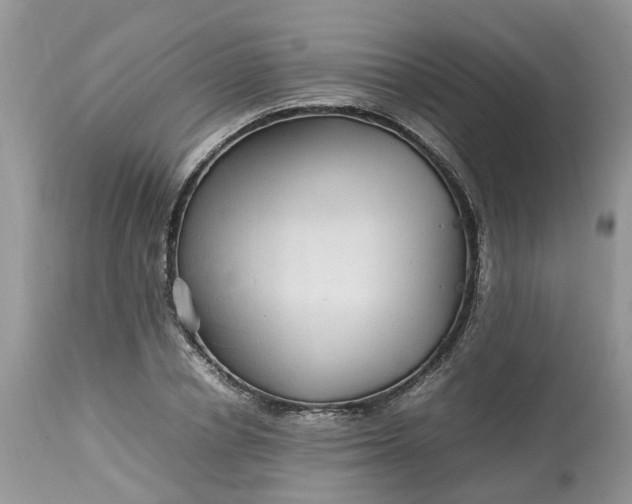 X0000113070834200909110938