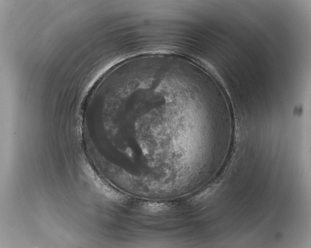 X0000113070835200909110938