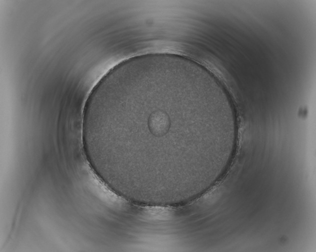 X0000113070836200909110938