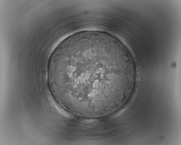 X0000113070837200909110938