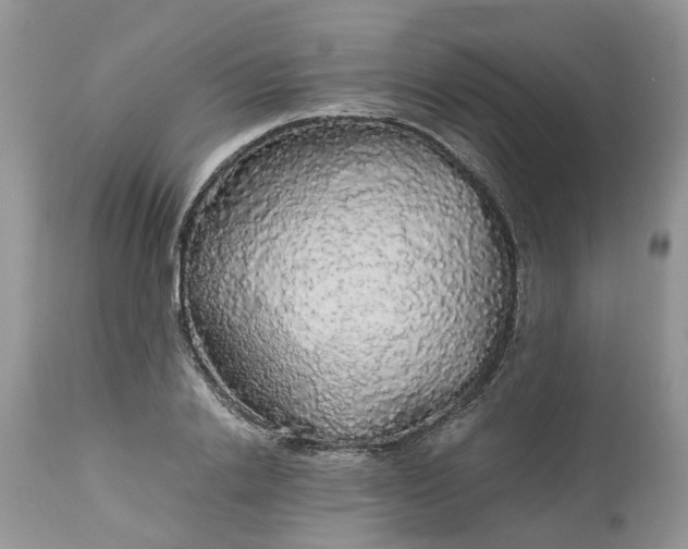 X0000113070838200909110938